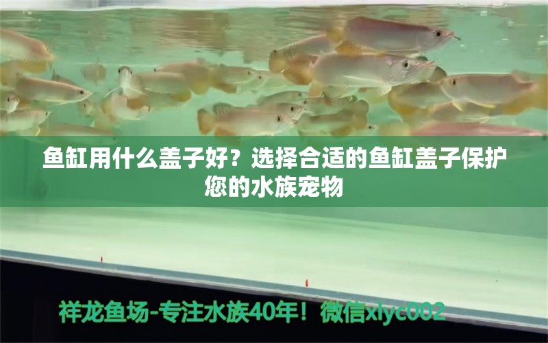 鱼缸用什么盖子好？选择合适的鱼缸盖子保护您的水族宠物