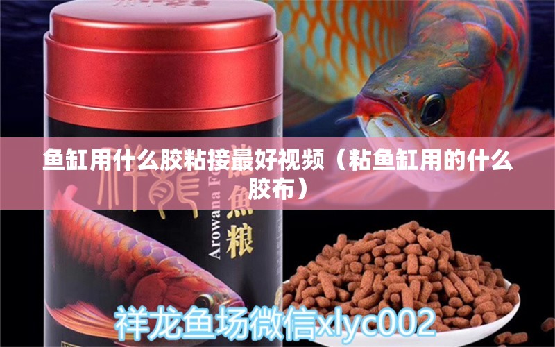 鱼缸用什么胶粘接最好视频（粘鱼缸用的什么胶布）