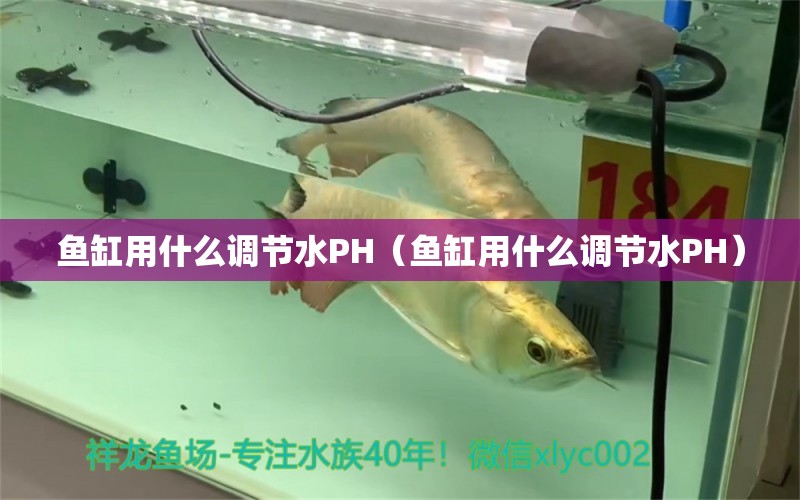 鱼缸用什么调节水PH（鱼缸用什么调节水PH）