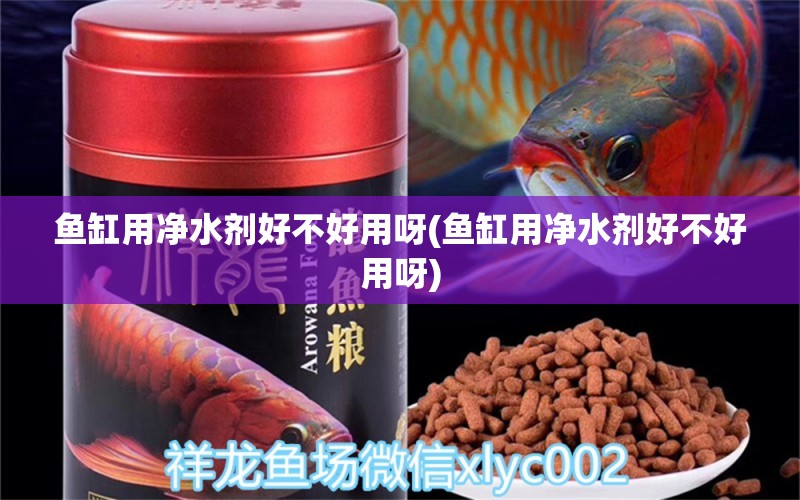 鱼缸用净水剂好不好用呀(鱼缸用净水剂好不好用呀) 熊猫异形鱼L46