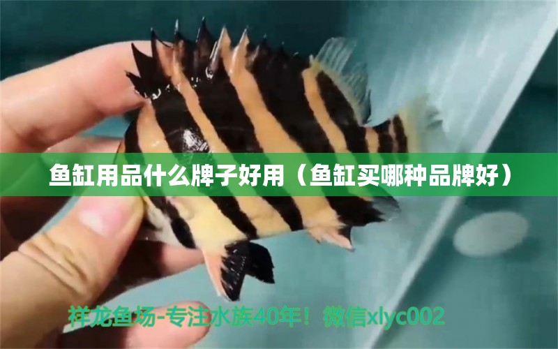 鱼缸用品什么牌子好用（鱼缸买哪种品牌好） 广州祥龙国际水族贸易