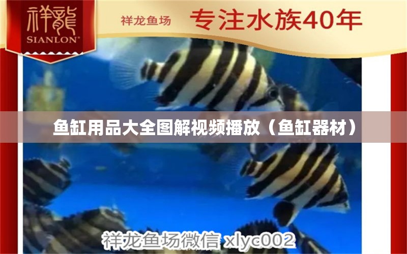 鱼缸用品大全图解视频播放（鱼缸器材） 广州祥龙国际水族贸易