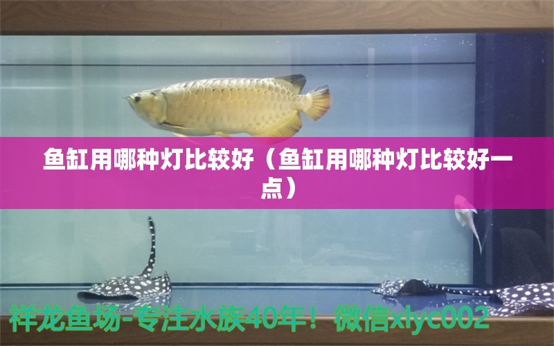 鱼缸用哪种灯比较好（鱼缸用哪种灯比较好一点）