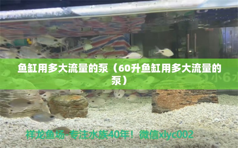 鱼缸用多大流量的泵（60升鱼缸用多大流量的泵） 其他品牌鱼缸