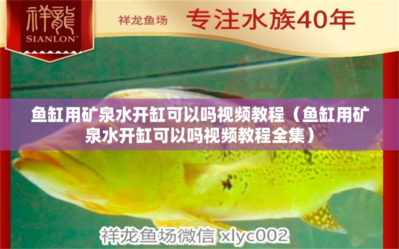 鱼缸用矿泉水开缸可以吗视频教程（鱼缸用矿泉水开缸可以吗视频教程全集）