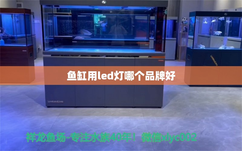 鱼缸用led灯哪个品牌好