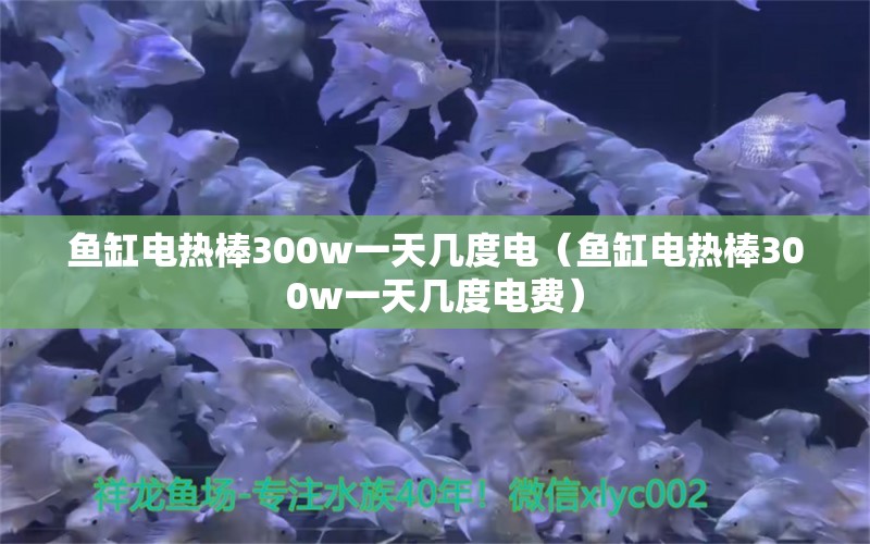 鱼缸电热棒300w一天几度电（鱼缸电热棒300w一天几度电费）