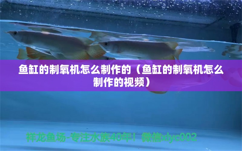 鱼缸的制氧机怎么制作的（鱼缸的制氧机怎么制作的视频）