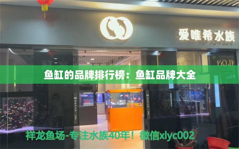 鱼缸的品牌排行榜：鱼缸品牌大全 广州龙鱼批发市场