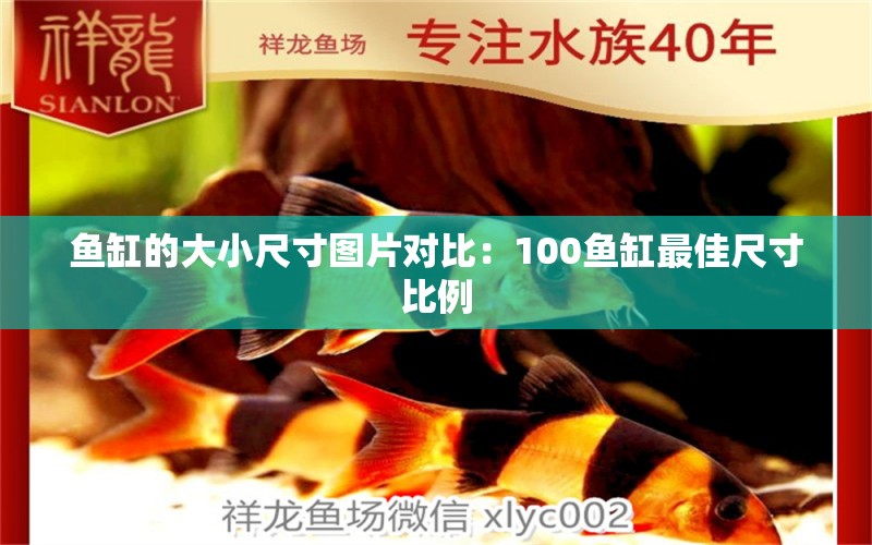 鱼缸的大小尺寸图片对比：100鱼缸最佳尺寸比例