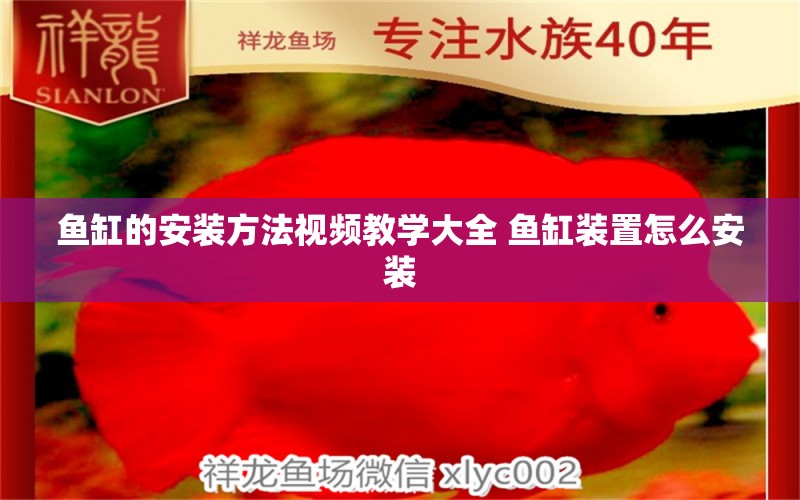 鱼缸的安装方法视频教学大全 鱼缸装置怎么安装 稀有金龙鱼 第1张