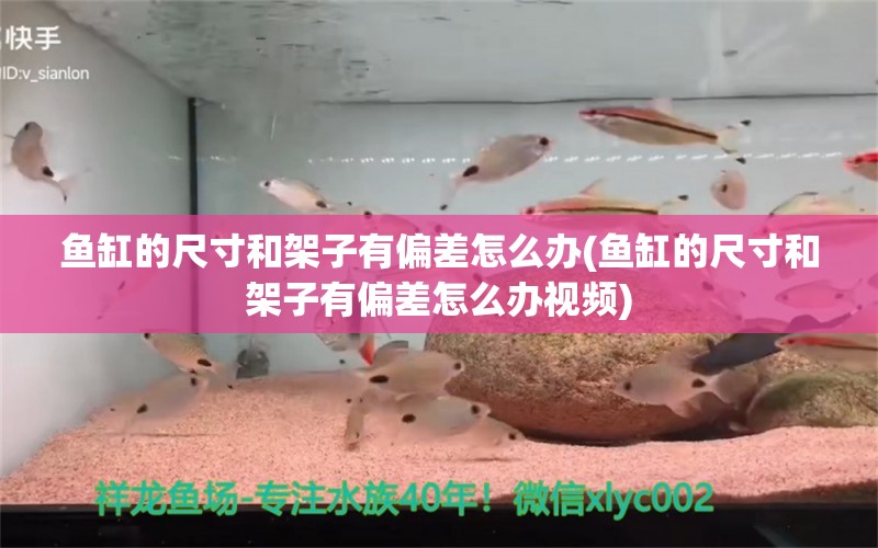 鱼缸的尺寸和架子有偏差怎么办(鱼缸的尺寸和架子有偏差怎么办视频)