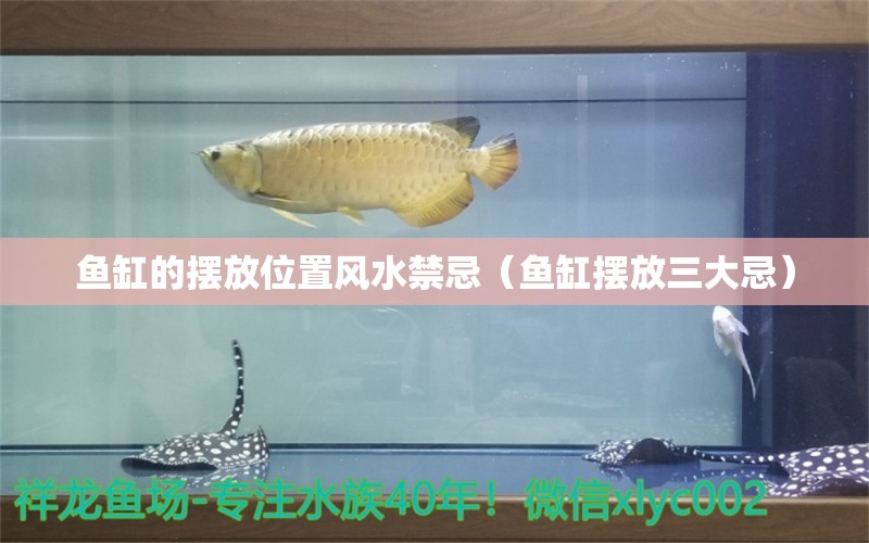 鱼缸的摆放位置风水禁忌（鱼缸摆放三大忌）