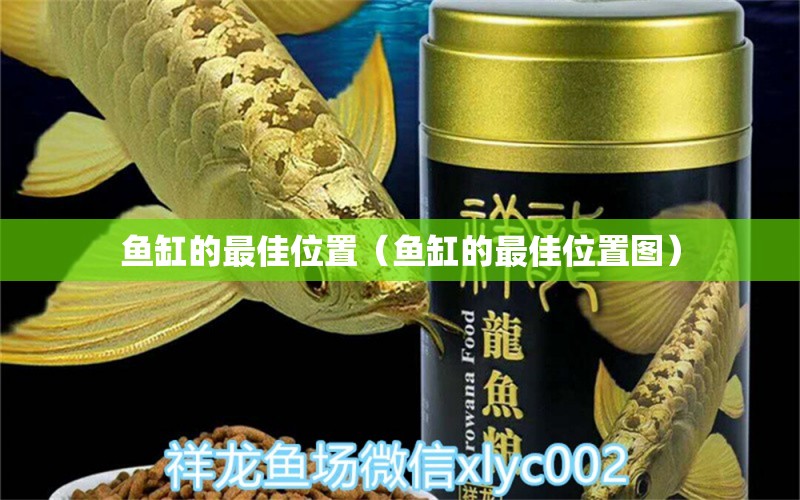 鱼缸的最佳位置（鱼缸的最佳位置图）