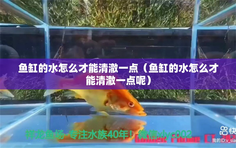 鱼缸的水怎么才能清澈一点（鱼缸的水怎么才能清澈一点呢）