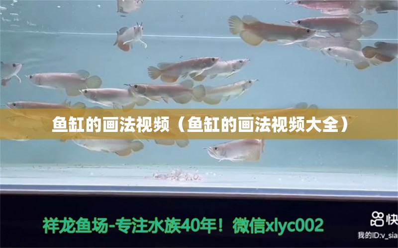 鱼缸的画法视频（鱼缸的画法视频大全） 印尼虎苗