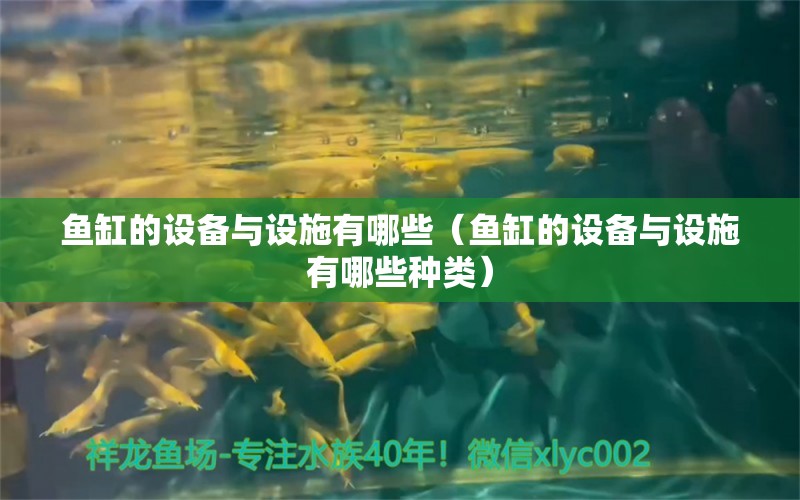 鱼缸的设备与设施有哪些（鱼缸的设备与设施有哪些种类） 祥龙水族医院