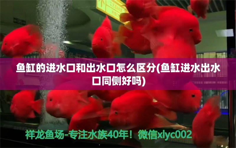 鱼缸的进水口和出水口怎么区分(鱼缸进水出水口同侧好吗)