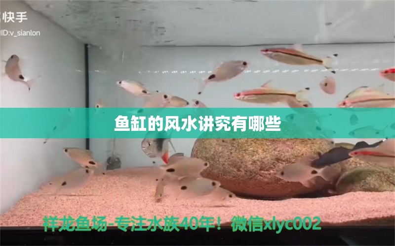 鱼缸的风水讲究有哪些