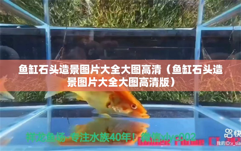 鱼缸石头造景图片大全大图高清（鱼缸石头造景图片大全大图高清版）