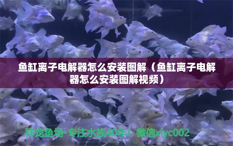 鱼缸离子电解器怎么安装图解（鱼缸离子电解器怎么安装图解视频） 量子养鱼技术