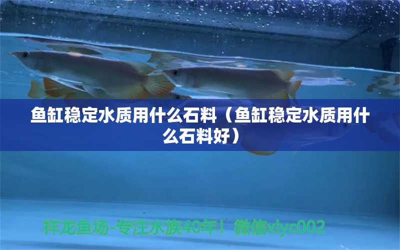 鱼缸稳定水质用什么石料（鱼缸稳定水质用什么石料好） 其他品牌鱼缸