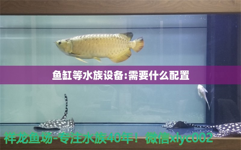 鱼缸等水族设备:需要什么配置