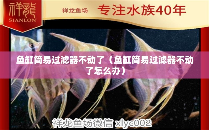 鱼缸简易过滤器不动了（鱼缸简易过滤器不动了怎么办） 祥龙水族医院