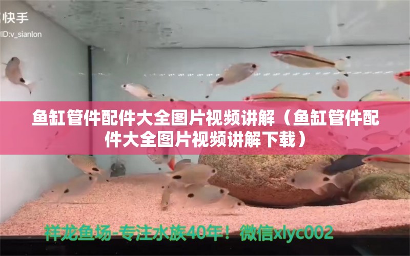 鱼缸管件配件大全图片视频讲解（鱼缸管件配件大全图片视频讲解下载） 广州观赏鱼批发市场