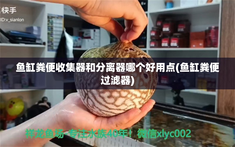 鱼缸粪便收集器和分离器哪个好用点(鱼缸粪便过滤器)