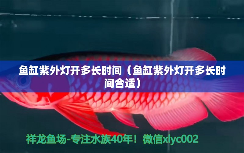 鱼缸紫外灯开多长时间（鱼缸紫外灯开多长时间合适） 其他品牌鱼缸