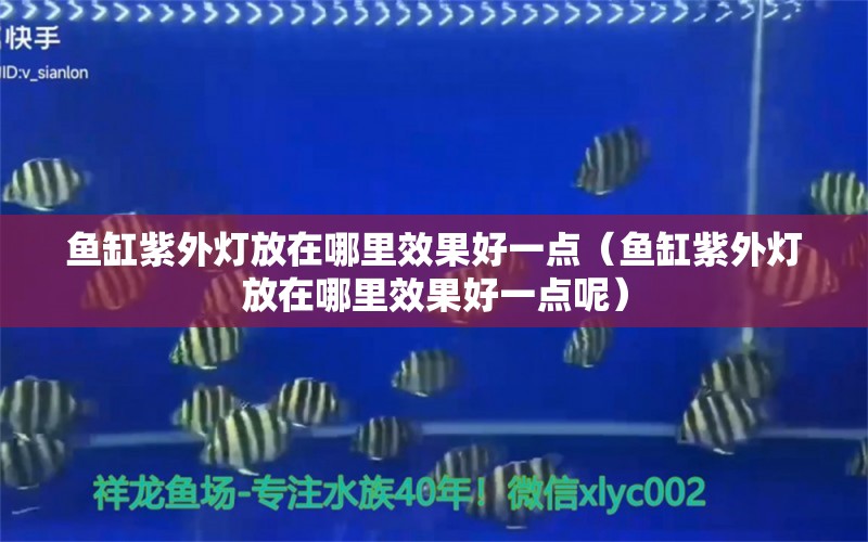 鱼缸紫外灯放在哪里效果好一点（鱼缸紫外灯放在哪里效果好一点呢）