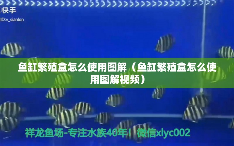 鱼缸繁殖盒怎么使用图解（鱼缸繁殖盒怎么使用图解视频）