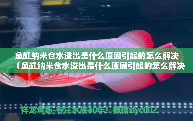 鱼缸纳米仓水溢出是什么原因引起的怎么解决（鱼缸纳米仓水溢出是什么原因引起的怎么解决视频）