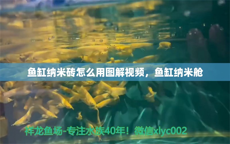 鱼缸纳米砖怎么用图解视频，鱼缸纳米舱