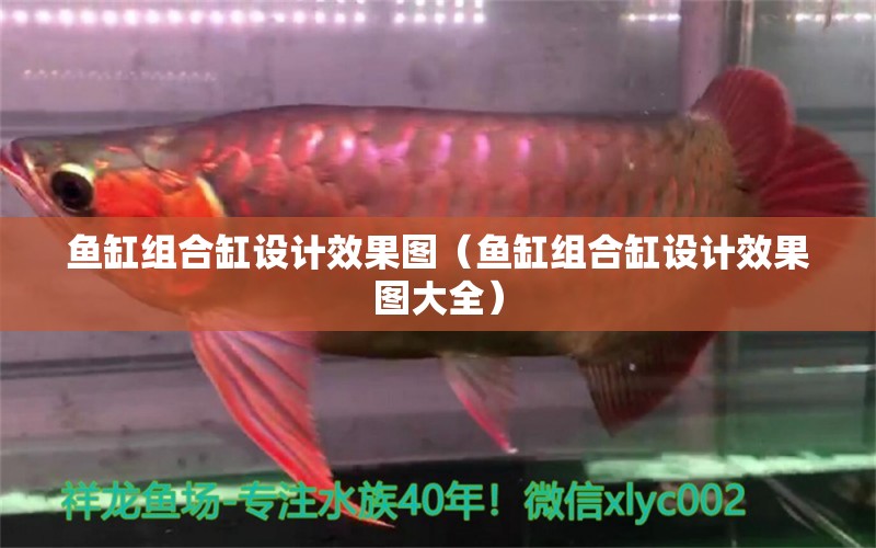 鱼缸组合缸设计效果图（鱼缸组合缸设计效果图大全） 祥龙水族医院