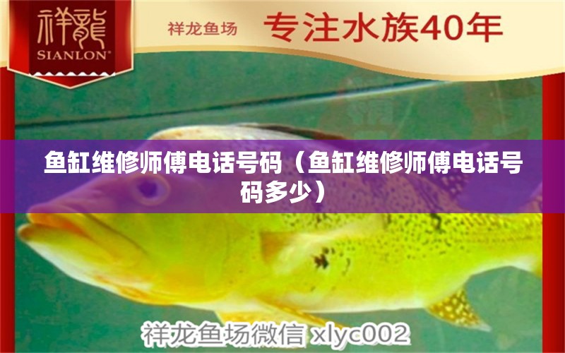 鱼缸维修师傅电话号码（鱼缸维修师傅电话号码多少） 其他品牌鱼缸