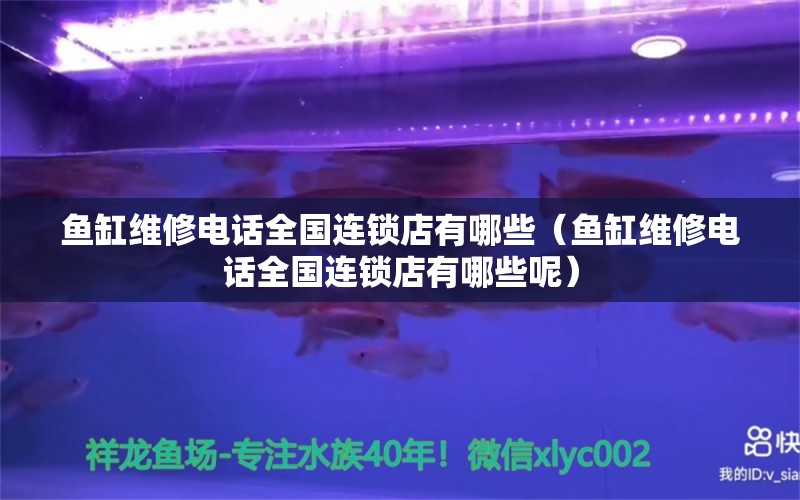 鱼缸维修电话全国连锁店有哪些（鱼缸维修电话全国连锁店有哪些呢）