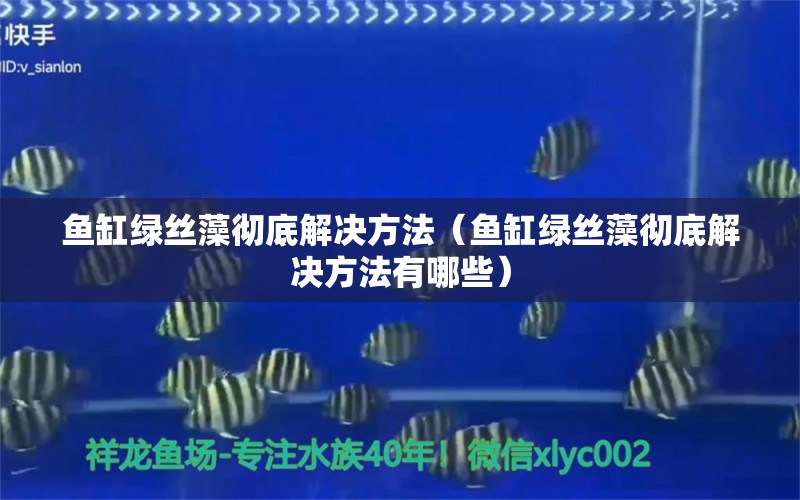 鱼缸绿丝藻彻底解决方法（鱼缸绿丝藻彻底解决方法有哪些） 其他品牌鱼缸 第1张