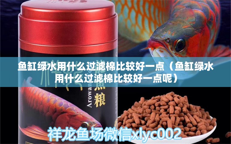 鱼缸绿水用什么过滤棉比较好一点（鱼缸绿水用什么过滤棉比较好一点呢）