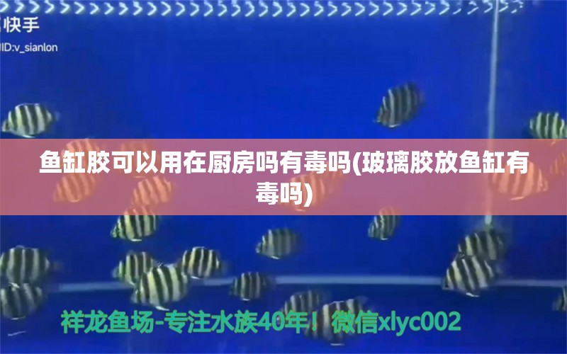 鱼缸胶可以用在厨房吗有毒吗(玻璃胶放鱼缸有毒吗)