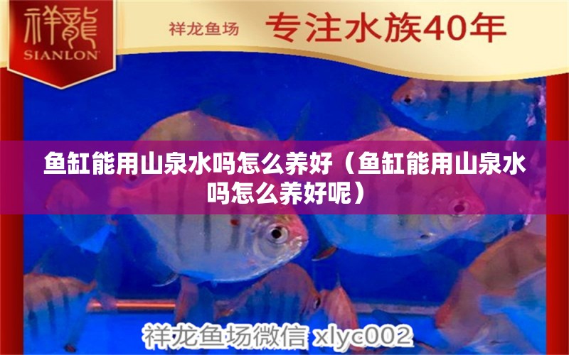 鱼缸能用山泉水吗怎么养好（鱼缸能用山泉水吗怎么养好呢） 祥龙水族医院