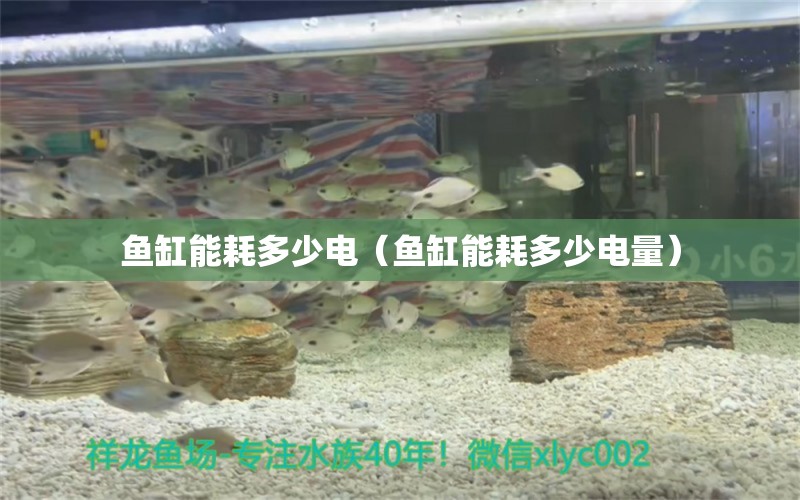 鱼缸能耗多少电（鱼缸能耗多少电量） 祥龙水族医院