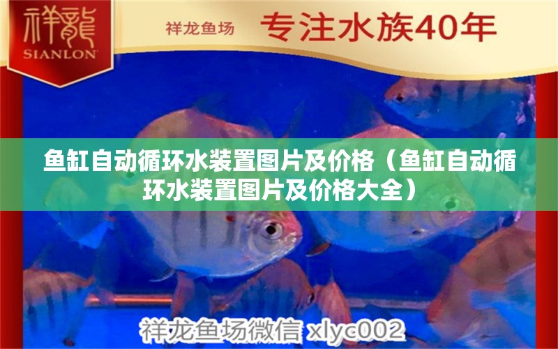 鱼缸自动循环水装置图片及价格（鱼缸自动循环水装置图片及价格大全） 其他品牌鱼缸