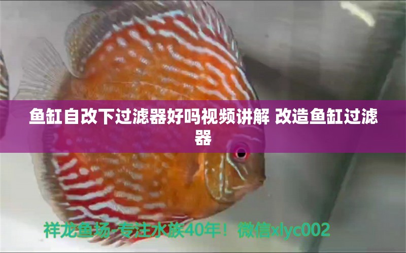 鱼缸自改下过滤器好吗视频讲解 改造鱼缸过滤器