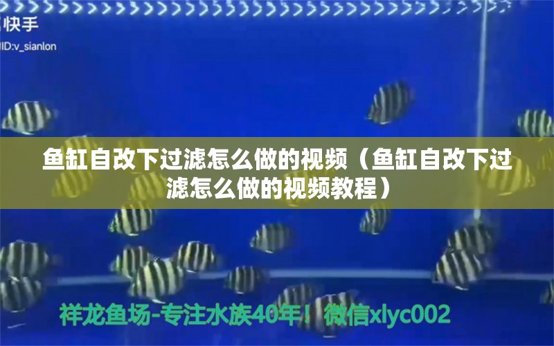 鱼缸自改下过滤怎么做的视频（鱼缸自改下过滤怎么做的视频教程）