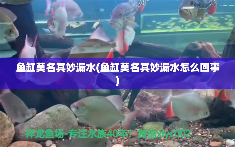 鱼缸莫名其妙漏水(鱼缸莫名其妙漏水怎么回事) 热带鱼鱼苗批发 第1张