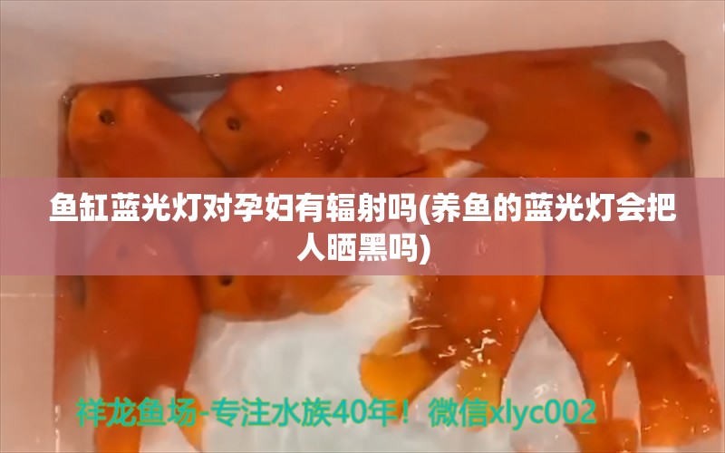 鱼缸蓝光灯对孕妇有辐射吗(养鱼的蓝光灯会把人晒黑吗) 水族品牌 第1张