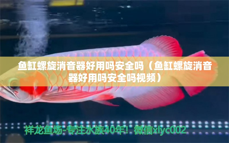 鱼缸螺旋消音器好用吗安全吗（鱼缸螺旋消音器好用吗安全吗视频）