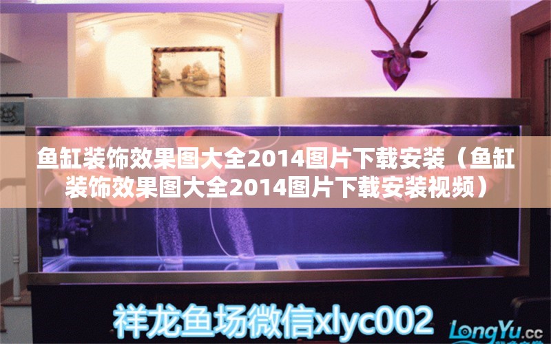 鱼缸装饰效果图大全2014图片下载安装（鱼缸装饰效果图大全2014图片下载安装视频）